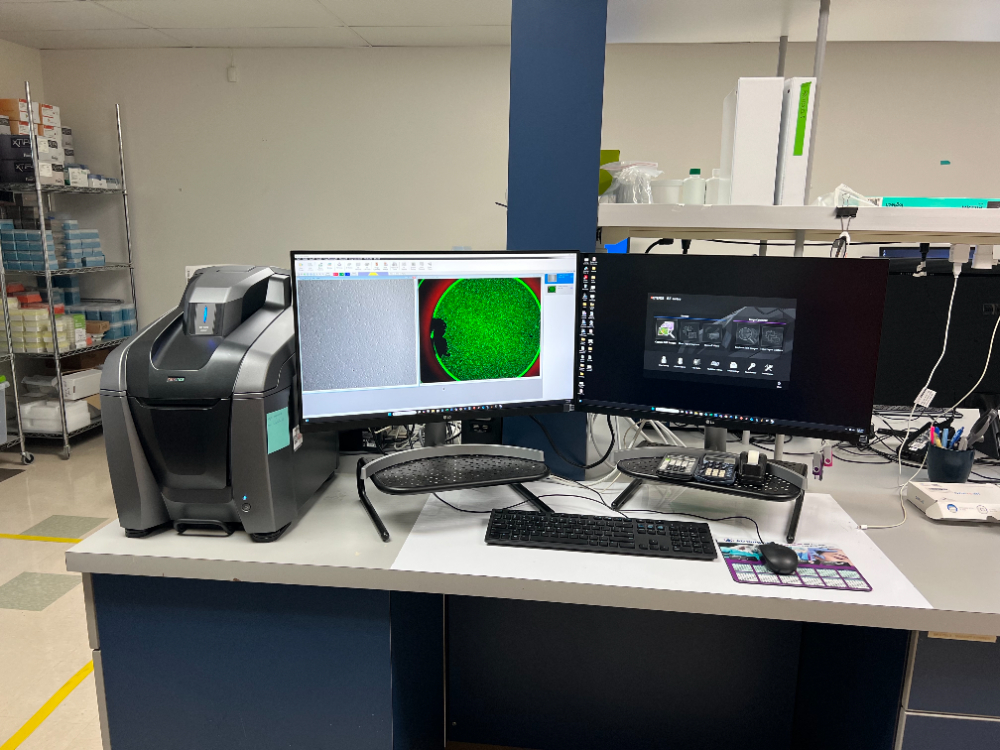 Image of Keyence BZ-X810 Fluorescence Microscope